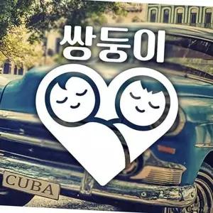 베이비 쌍둥이 자동차 스티커 픽토그램 하트 자동차 스티커 차량용