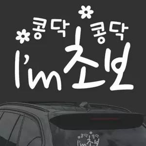 귀여운 초보운전 스티커 차량용 초보운전 문구 자동차 자석
