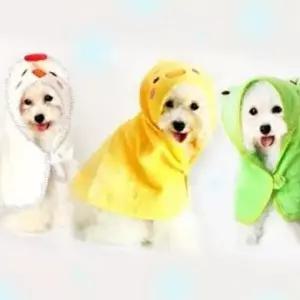 가운 샤워 목욕 강아지 수건 S 펫타올