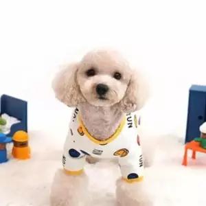 애견 올인원옷 (화이트) 애견옷 애견실내복