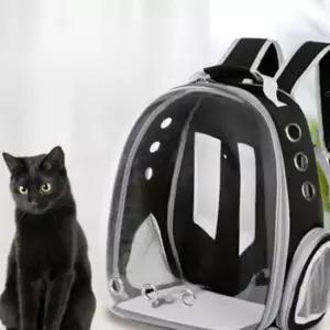 반려동물 투명 백팩 고양이 강아지 외출 이동가방 배낭 투명가방 반려동물가방 이동가방 앞가방 강아지