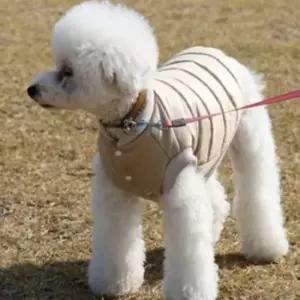 애견 겨울 패딩 (베이지) 애견겨울옷 애견겨울패딩