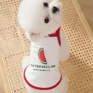 [반려패션] 산책 수박 티셔츠 나시 당근 옷 외출 반려동물 강아지