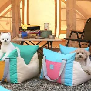 패리스독 캔디팝 카시트
