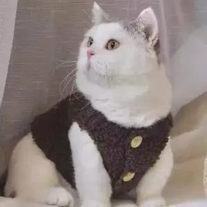 2컬러 고양이 반려묘 러블리 가을 겨울 뽀글이 조끼