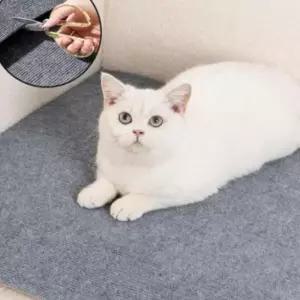 벽 부착형 대형 카펫 긁힘 방지 스크래쳐 패드