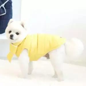 애견 겨울 패딩 (옐로우) 강아지패딩조끼 애견패딩조끼
