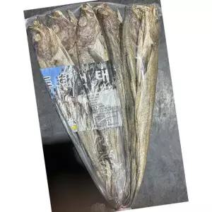 동해 먹태 빨강끈 8통 10미 900g 5개 안주 건어물