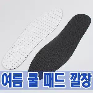 [룽스_65]쿨 패드 매쉬 깔창(HLN20)