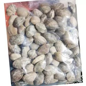 피바지락 600g 피 바지락 냉동 업소 해물 요리 칼국수