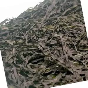 GC 건다시마 채 50g 건조 자른 채다시마 국물재료
