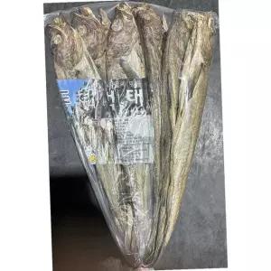 동해 빨강끈 먹태 900g 10미 10개 건어물 안주 맥주