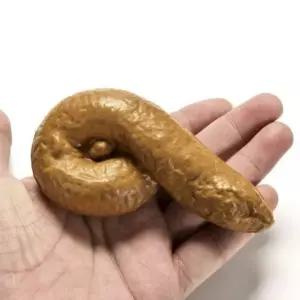 인싸템 쓸모없는 선물 생일 용품 파티 깜짝 똥모형 모형똥 (WDBAC09)