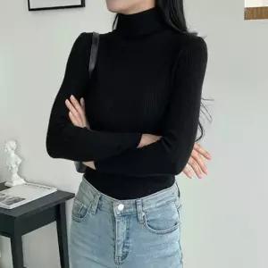골지 목폴라 기본 목티 여자 이너 니트 겨울 터틀넥