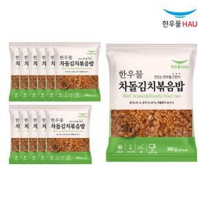 한우물 차돌김치 볶음밥 300g x 12개