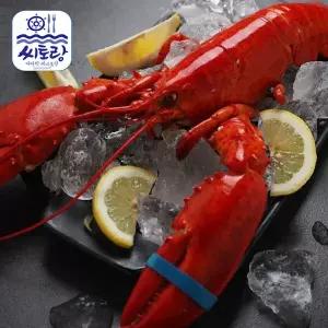 캐나다 자숙랍스터 대 2미/미당 400~450g/냉동