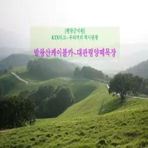 평창군지원 [평창 택시투어 3탄] 발왕산케이블카+대관령양떼목장(당일)