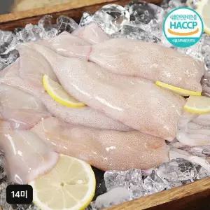 [NS홈쇼핑]김하진 국내산 손질통오징어 14미 (240g(2미)X7팩)[35655005]