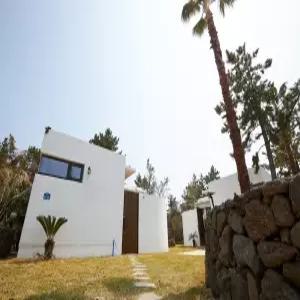 [제주] 협재펜션 화양연화(제주, 제주)