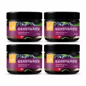 발효복분자농축분말 120g x 4개 고창복분자분말