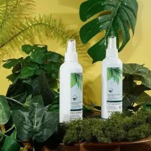 티트리잎 발냄새 박하 은은한향 풋스프레이 200ml 2개 WFD70FF