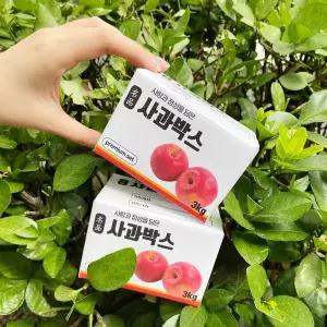 미니 사과 반전 용돈 박스 상자 부모님