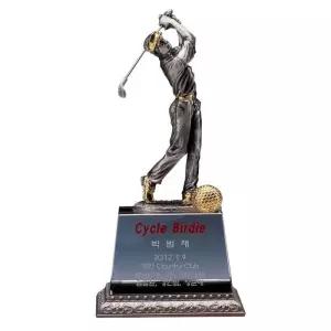 [룽스_65]주석상 골프트로피 홀인원패 상패 SW29