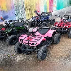 ATV 사발이 바이크 4륜 전기 산악용 오토바이 전동
