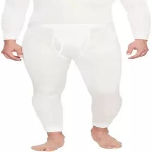 테라마르 남성용 100% 실크 써마실크 필라멘트 바젤 레이어 하의 팬츠 Small Natural