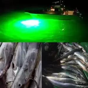 빙어집어등 방수집어등 수중 LED 낚시 램프 200W 녹색 조명