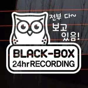 자동차 주유구 차량용 스티커_부엉이블랙박스녹화중01 반사스티커 (W8444D7)