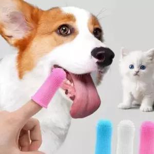 실리콘 강아지 고양이 양치 골무 손가락 칫솔 치석관리 입냄새 구강관리