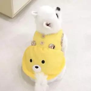 [반려패션] 옐로우 1P 반려견옷 쿨원단 강아지옷 곰돌이 원피스