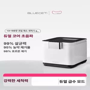 초음파 세척기 해산물 잔류농약 제거 과일채소 식기 청과