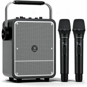 150W 고출력 노래방 기계 무선 마이크 2개 프리미엄 음성 증폭기/PA 시스템 파티 야외 교실 노래 기타 앰프