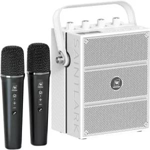 100W 강력한 스피커 무선 마이크 2개 포함 세트 지원 기타 입력 파티 교육 노래 S99를 위한 노래방 기계