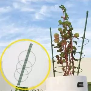 화초지지대 원형 링 식물 지지대 울타리 지주 대 와이 1세트 60cm