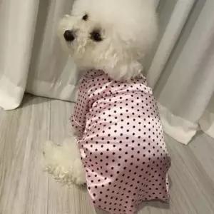 애완견 홈웨어 강아지 실내복 잠옷 땡땡이 귀여운 파