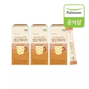 풀무원 생강계피차 13g x 20포 3세트