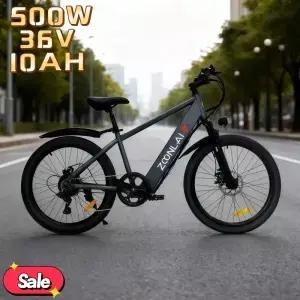 500W 출력의 24인치 전기 자전거 36V 10AH 안전 배터리로 성인들이 쉽게 그리고 노동력을 절약하여 탈 수