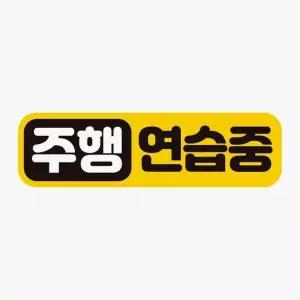 주행연습중 고휘도반사 자석 자동차스티커 차량용스티커 초보운전 (WAAAA93)