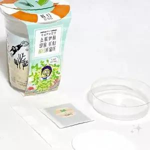 실내 새싹 재배 세트 식물 키우기 체험 키트 채소 씨앗 발아 관찰 교육 취미