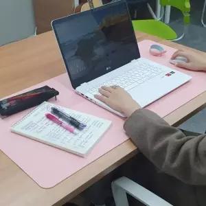 양면 가죽 장패드 데스크매트 베이비핑크 (W9D6B34)
