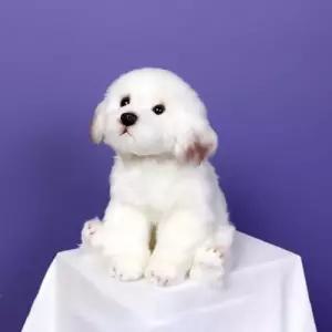 [룽스_65]위더펫 리얼 강아지 인형 반려견인형 말티즈
