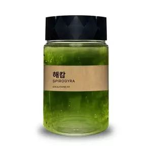 옆집샵 해캄 300ml 초등 과학 실험 관찰 생물 녹조류 수중 식물 학습용