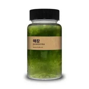 옆집샵 해캄 100ml 초등 과학 실험 관찰 생물 녹조류 수중 식물 학습용