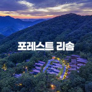 [충북 제천] 제천 포레스트 리솜 (효도여행/힐링/이색체험/박달재)