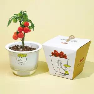 그린패밀리 저면관수 식물키우기 방울토마토/DIY/실내/화분/씨앗/심기/기르기/재배/키트/원예/어린이/학생