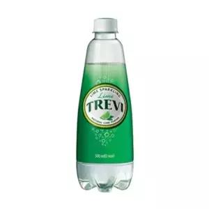 롯데 트레비 500ml 라임 (20개입)