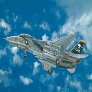 이탈레리 1: 48 - F-14A 톰캣